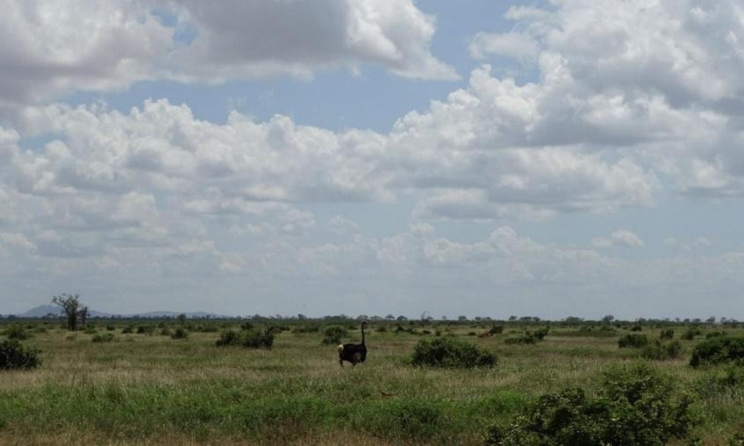 Obsah obrázku venku, tráva, mrak, obloha
Popis byl vytvořen automaticky