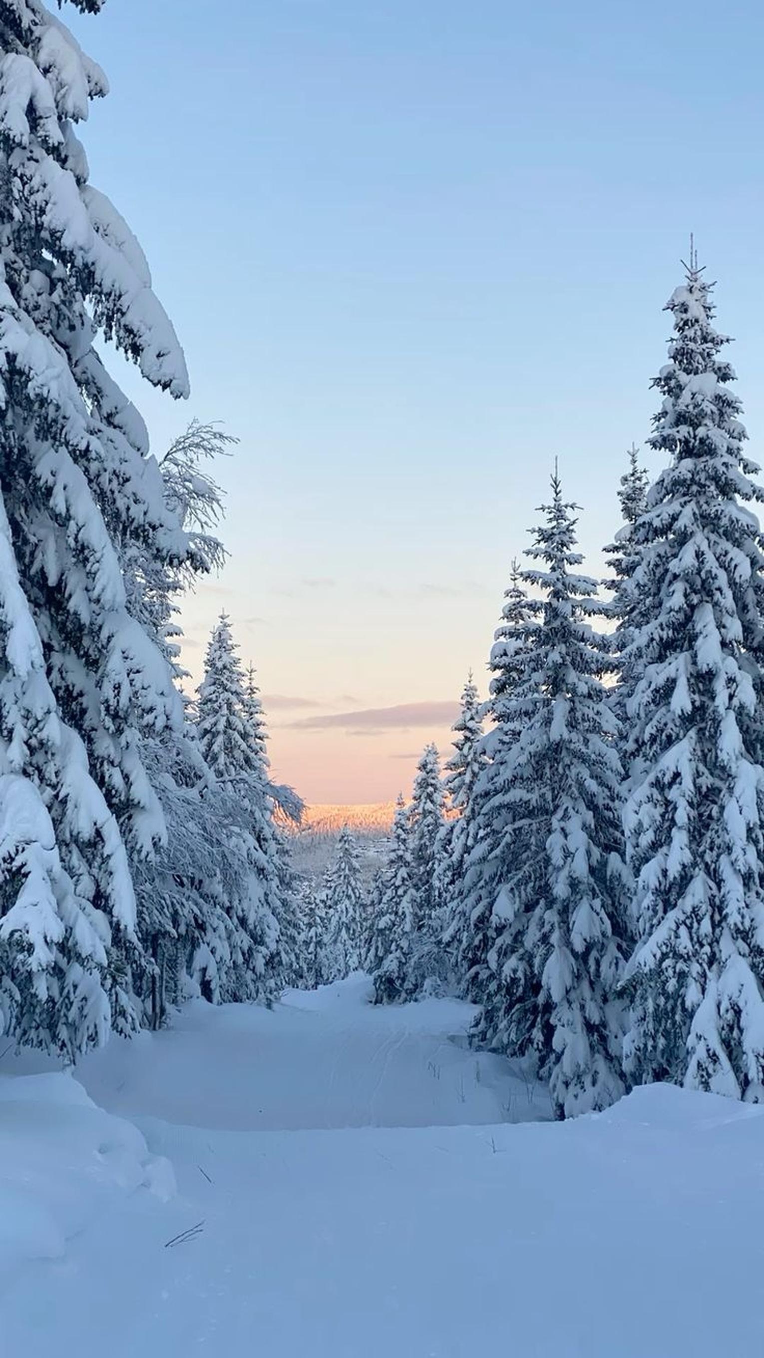 Obrázek se nenašel